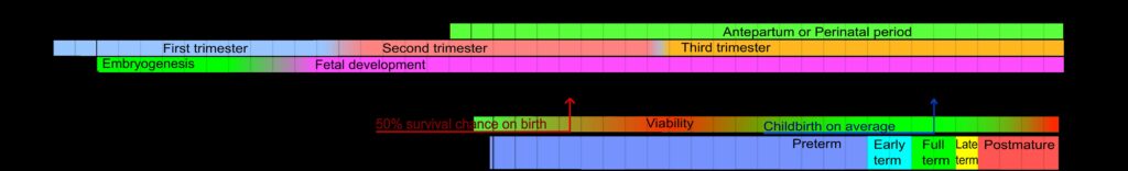 File:Pregnancy timeline.png - a diagram of the different wavelengths of a light source